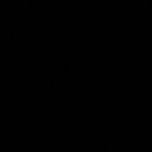 Meet your Posher, Levi